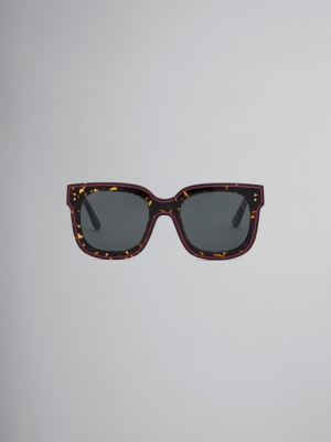 Marni Animal Print Acetate Li River Multicolor | MMXHR76806