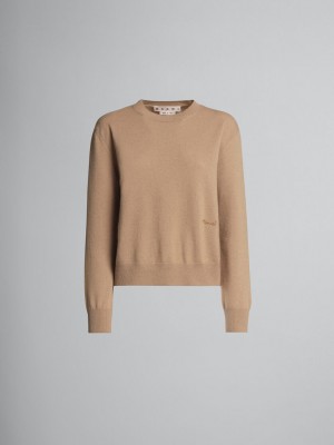 Marni Logo Cashmere Crewneck Sueter Beige | TMXPQ38594