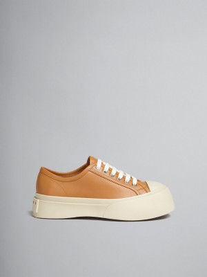 Marni Nappa Cuero Pablo Encaje-up Sneaker Marrom | TMXPQ41202
