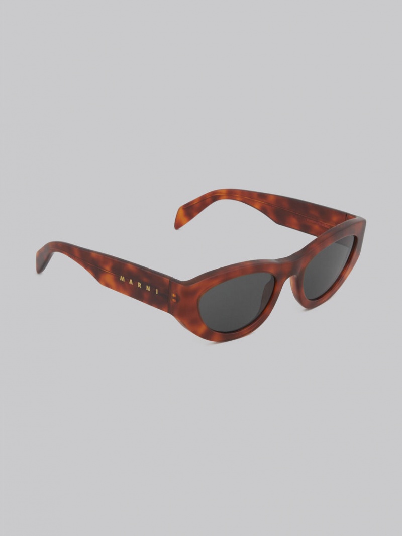 Marni Acetate Rainbow Mountains Multicolor | MXCIF39243