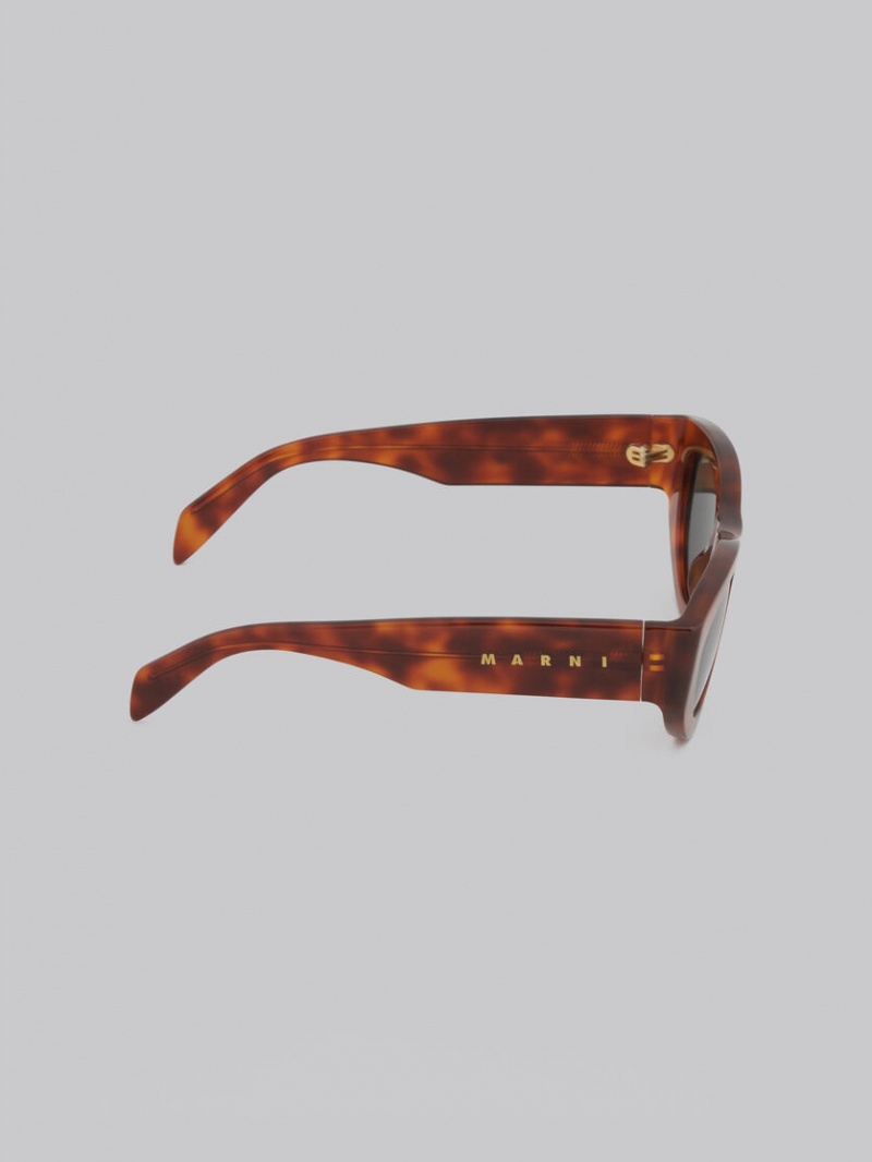 Marni Acetate Rainbow Mountains Multicolor | MXCIF39243