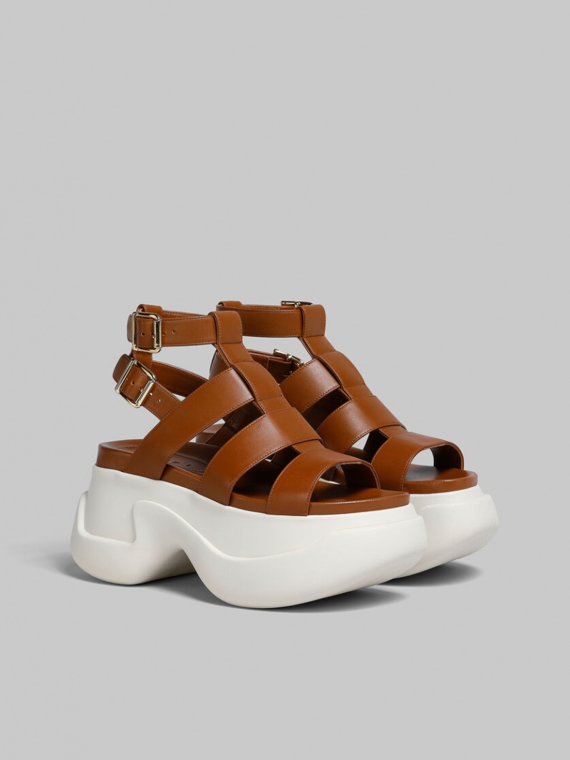 Marni Cuero Aras 23 Gladiator Sandal Marrom | MXQAV90788