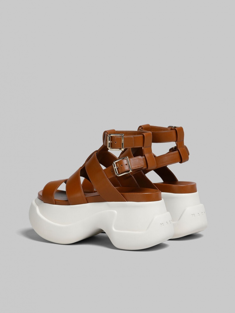 Marni Cuero Aras 23 Gladiator Sandal Marrom | MXQAV90788