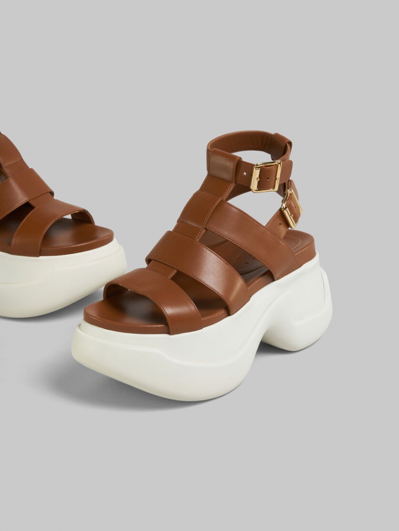 Marni Cuero Aras 23 Gladiator Sandal Marrom | MXQAV90788