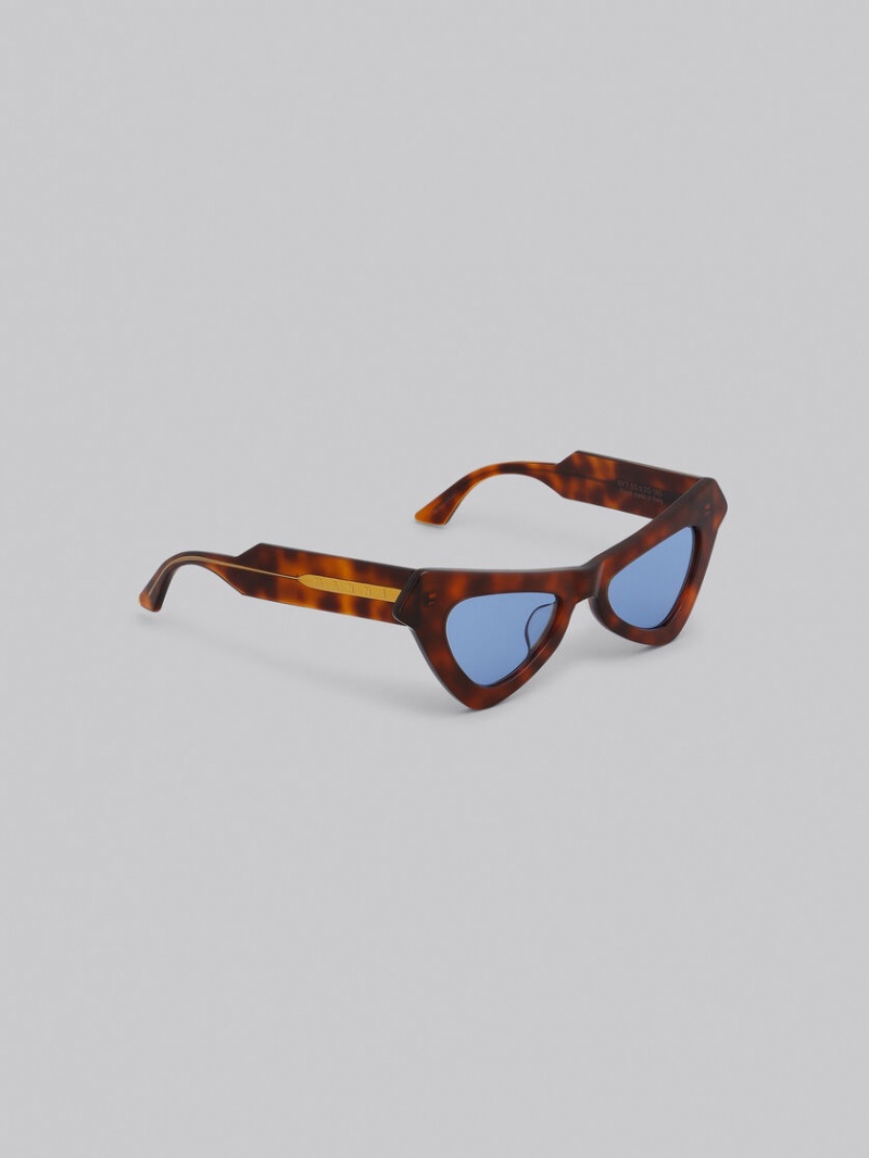 Marni Fairy Pools Havana Acetate Naranjas | MXNEJ25559