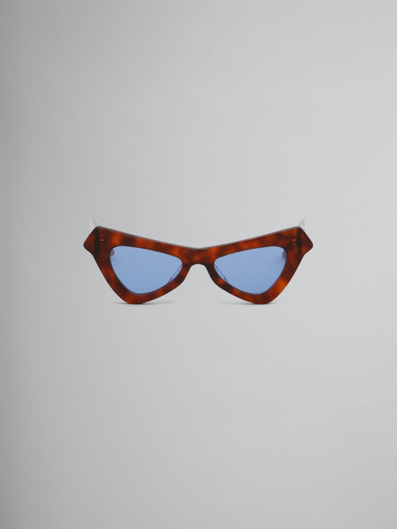 Marni Fairy Pools Havana Acetate Naranjas | MXNEJ25559