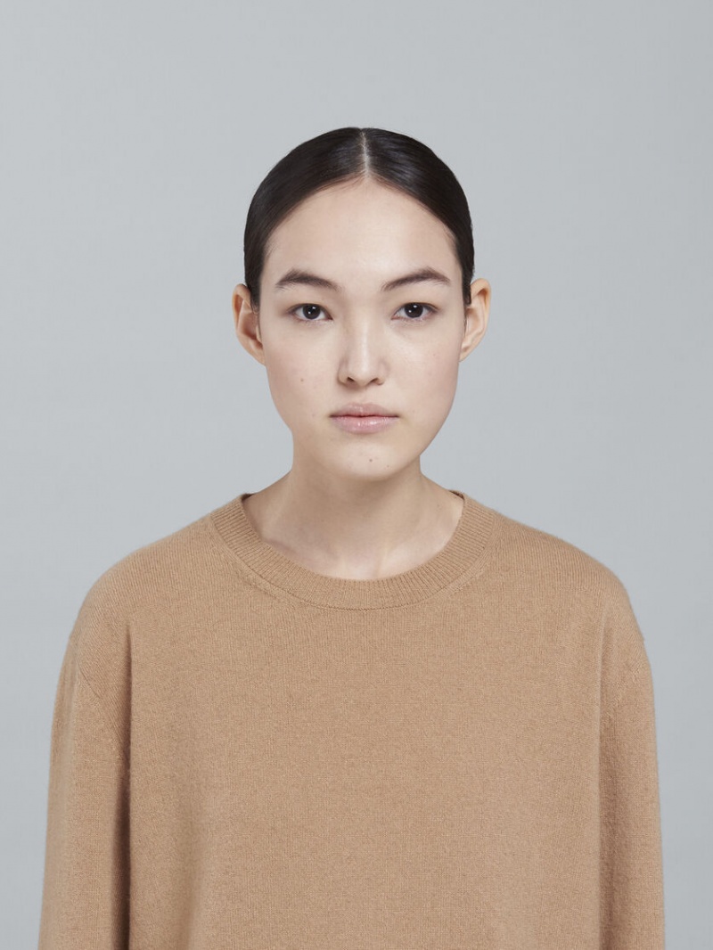 Marni Logo Cashmere Crewneck Sueter Beige | TMXPQ38594