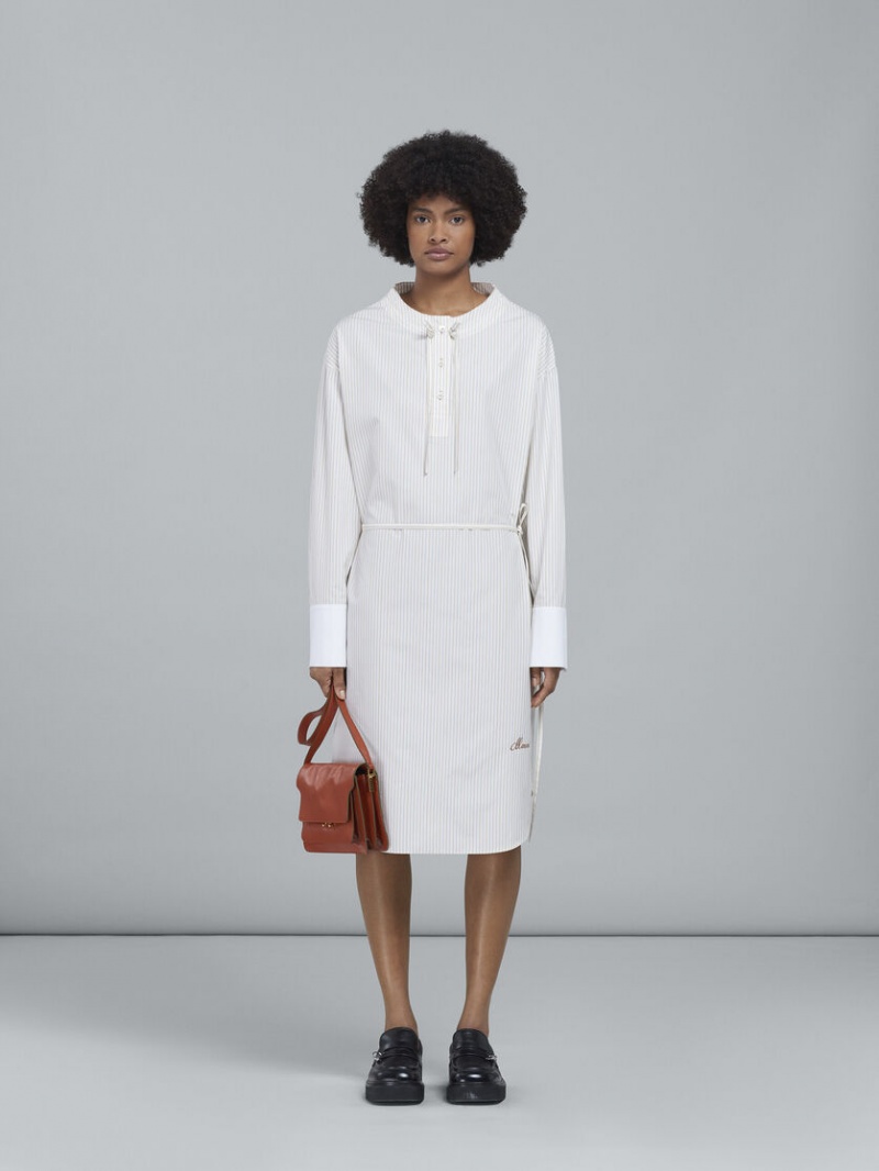 Marni Trunk Soft Medium Bag Cuero Marrom | MXJZR70464